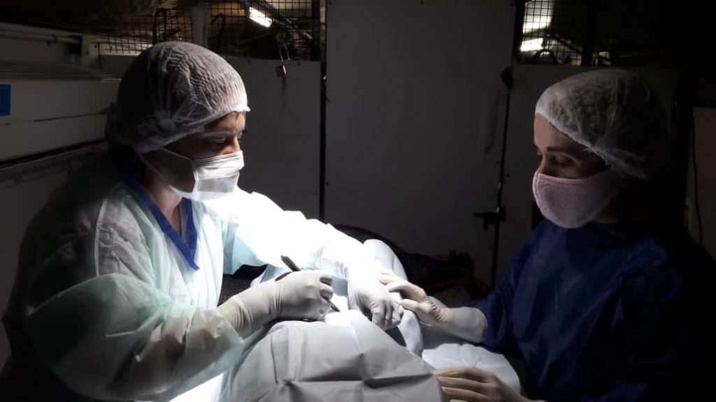 Veterinaria y Zoonosis